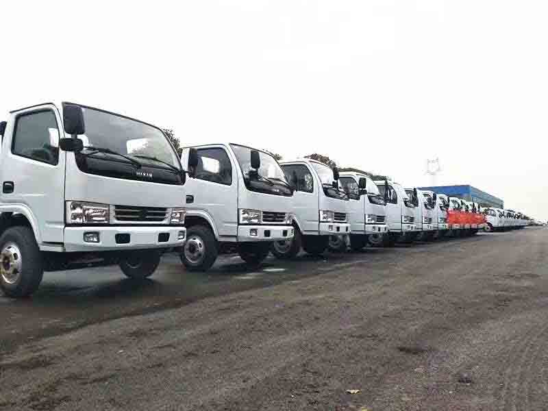 程力特種汽車(chē)制造廠(chǎng)100臺(tái)輕卡出口中東國(guó)家